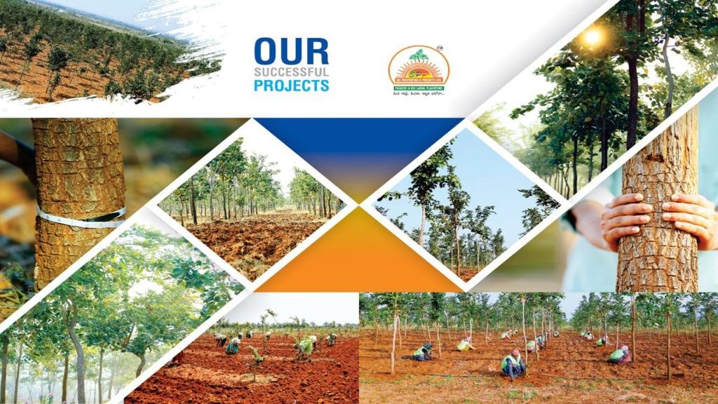 RED SANDIL PROJECT IN SAI PROPERTIES & PROJECTS