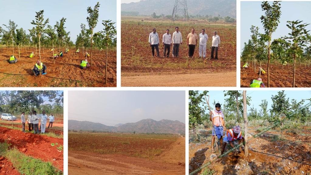 RED SANDIL PROJECT IN SAI PROPERTIES & PROJECTS