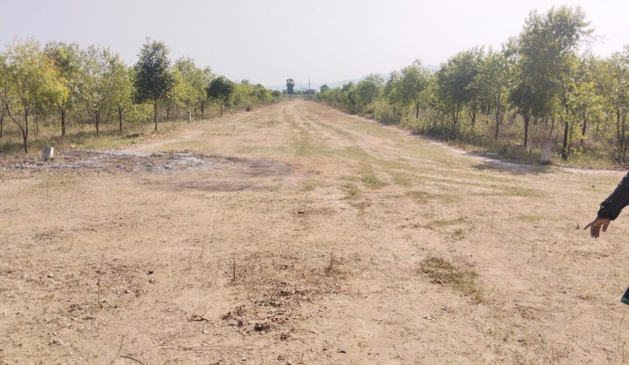 Open Plots For Sale in prakasham Distric chinnarikatla Junction