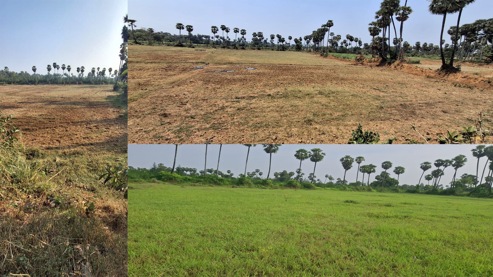 Agriculture land For sale In Vompole village