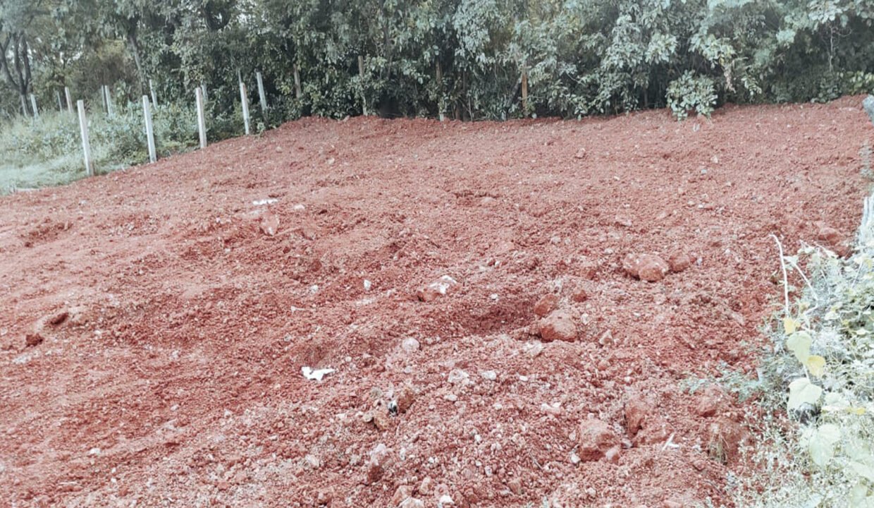 Open Site For Sale In Eluru