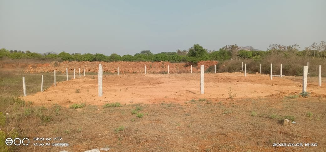 Site For Sale In TKM Puram, Sai Baba Temple Road, Pachikapalem