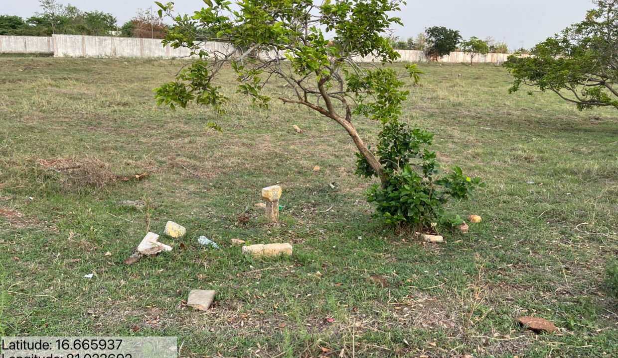 SITE FOR SALE IN KALAPARU DTCP LAYOUT ELURU FOR MORE INFORMATION
