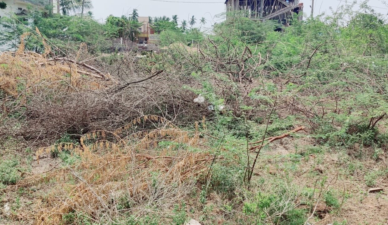 SITE FOR SALE IN SATRAMPADU