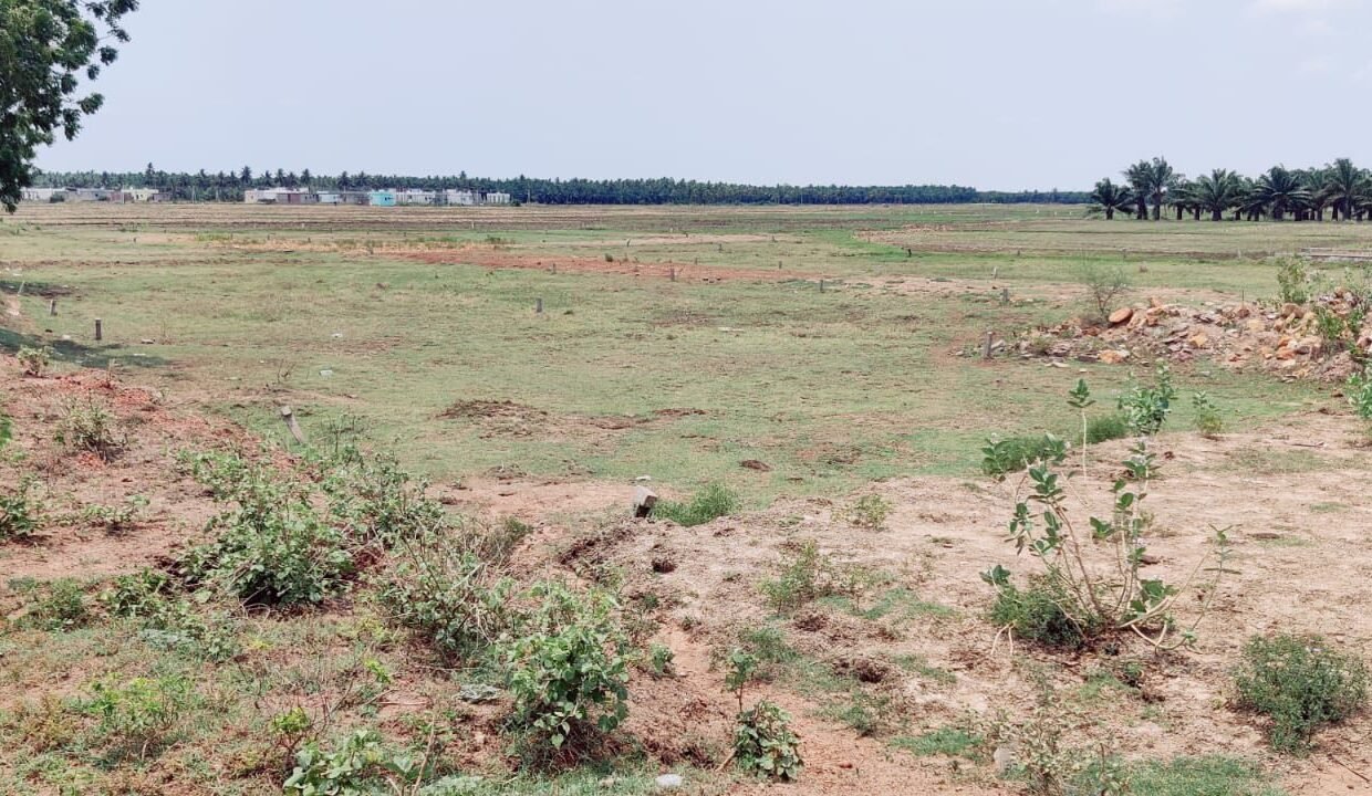 2BHK Flat For Sale In Eluru Near Asaram Hospital Dtcp Layout