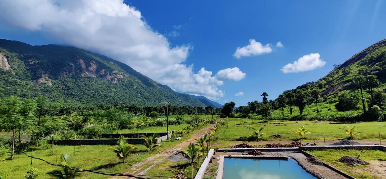 Farm land for sale in Vizag Sri Dharani Gardens Vepada