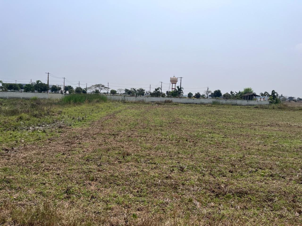 Agriculture Land For Sale 2.75 Cents