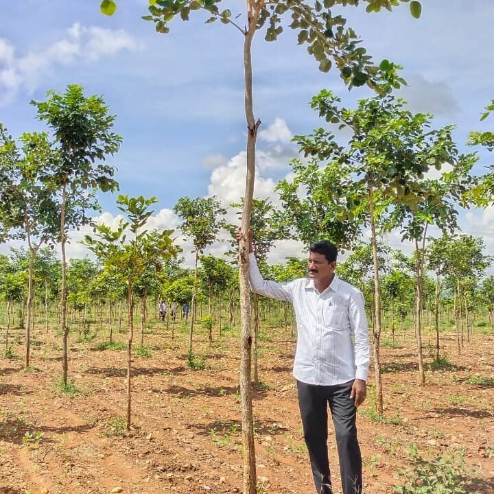 Sri Veeraveveka Redsandal And AGRO Farms Producer Company Limited Gayathri Nagar Vijayawada