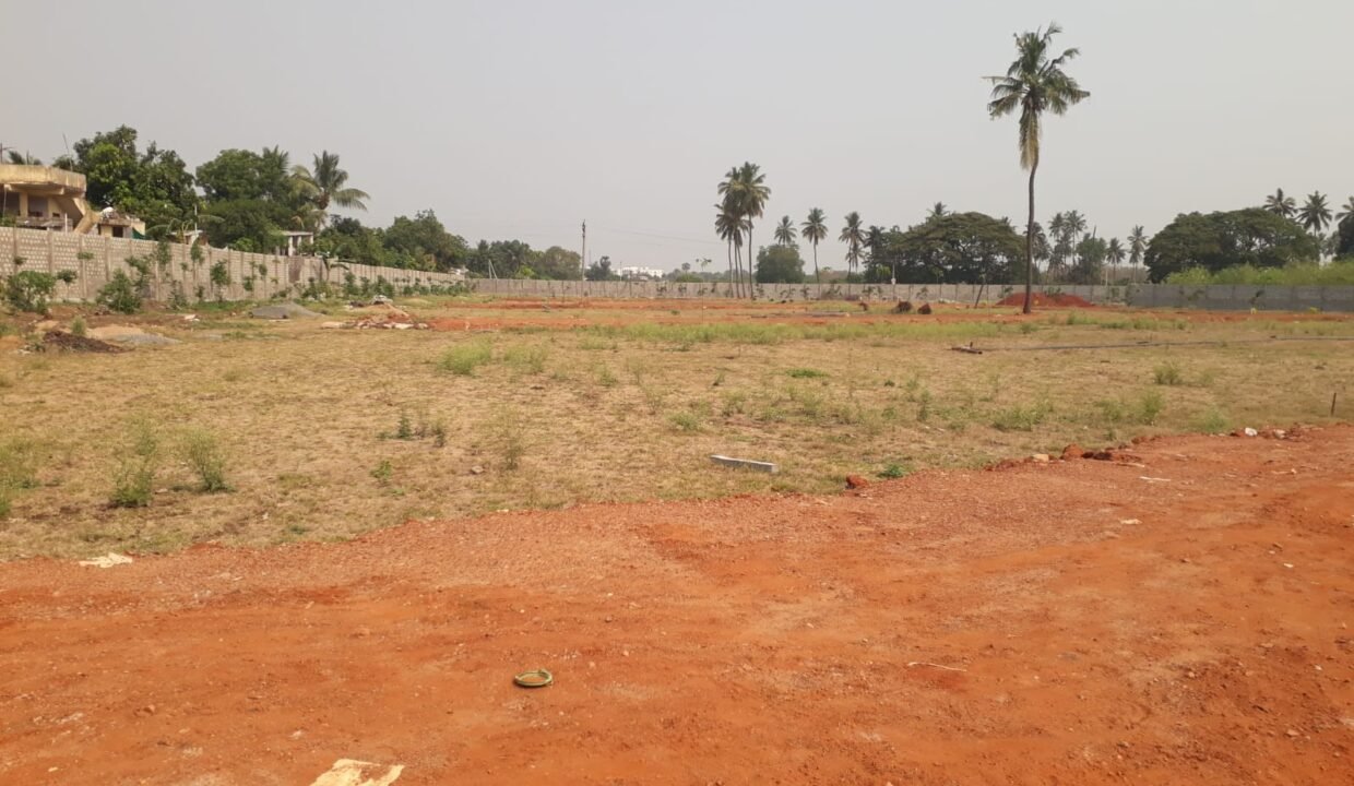 Housing Plots For Sale In CRDA Approved Layout Near Penamaluru , Kankipadu , Tadigadapa , Gannavaram , Vijayawada