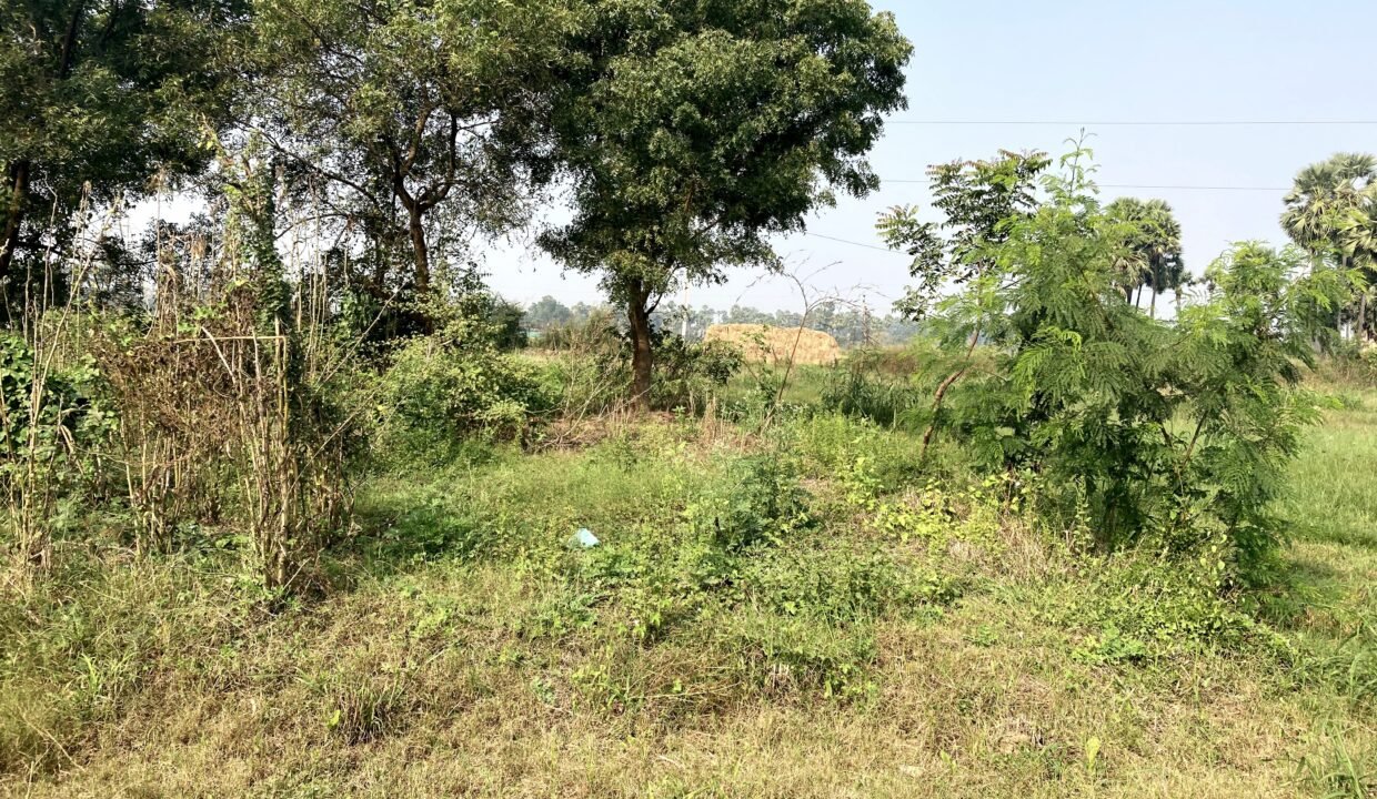 Site For sale in Eluru (Booraigudem Road ) 210 Sq Yards